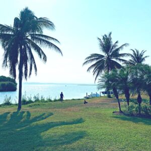 Mi Estadía Vip - Marina Diamante Acapulco