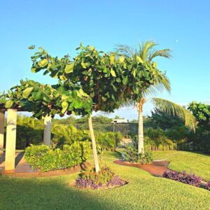 Mi Estadía Vip - Marina Diamante Acapulco