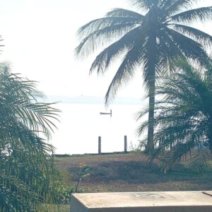 Mi Estadía Vip - Marina Diamante Acapulco